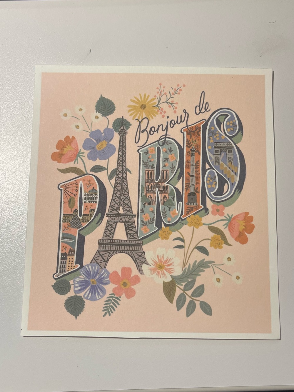 4️⃣for2️⃣0️⃣! Rifle Paper Co Paris Print